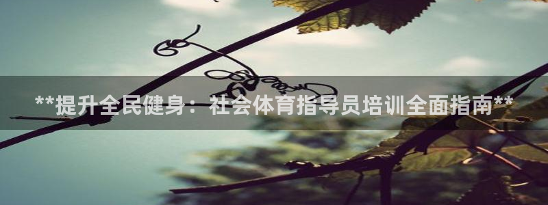 焦点娱乐加速器下载安装：**提升全民健身：社会体育指