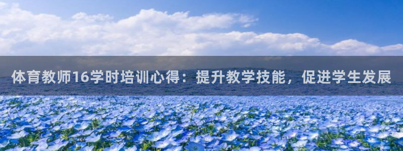 焦点娱乐加速器下载安装：体育教师16学时培训心得：提