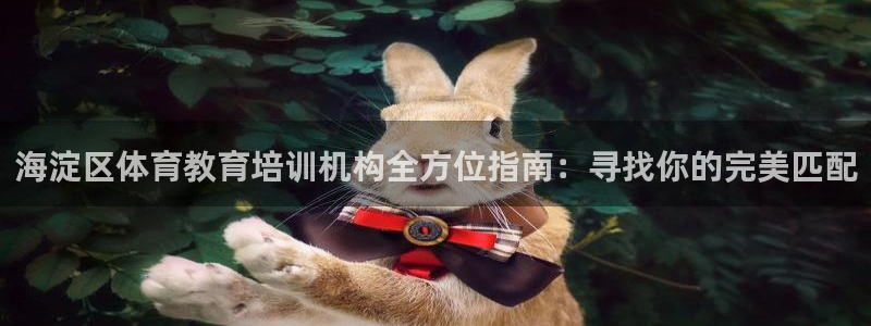 焦点娱乐官网下载安装最新版本：海淀区体育教育培训机构