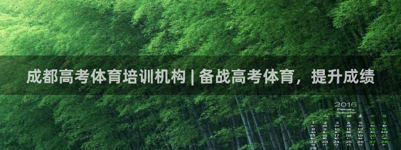 焦点娱乐传媒有限公司怎么样啊赚钱吗：成都高考体育培训