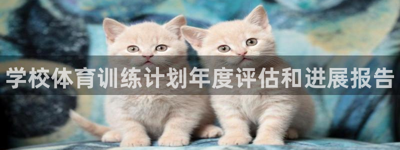 焦点娱乐平台总代理开户：学校体育训练计划年度评估和进