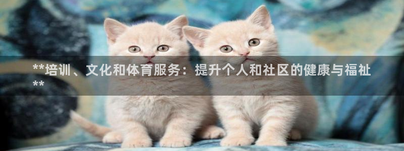 焦点娱乐传媒有限公司是干嘛的公司：**培训、文化和体