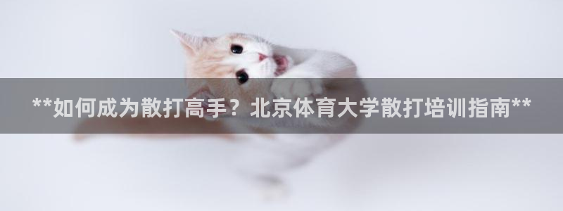 焦点娱乐平台注册账号怎么注销不了：**如何成为散打高