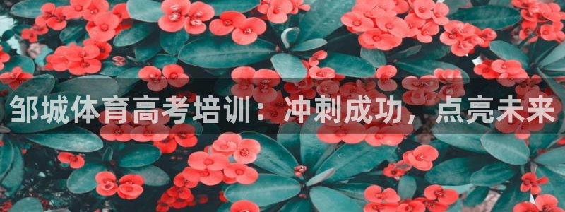 焦点娱乐平台客服热线号码：邹城体育高考培训：冲刺成功