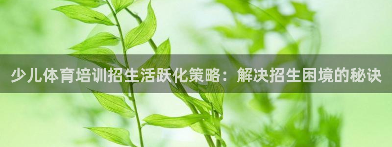 焦点娱乐官网下载安装手机版最新