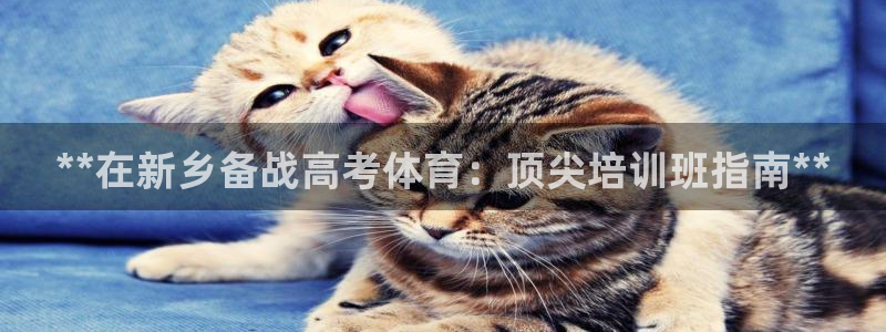 焦点娱乐网站下载地址：**在新乡备战高考体育：顶尖培