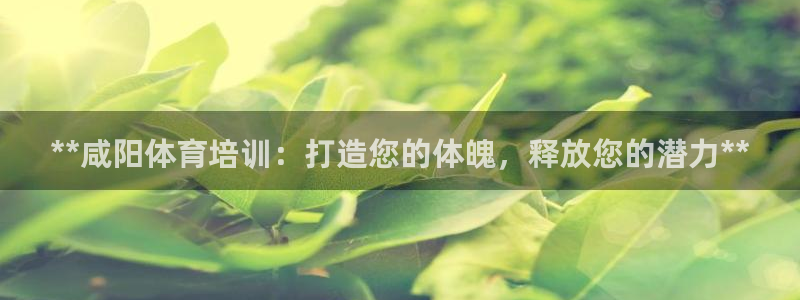 焦点娱乐app下载官网苹果版：**咸阳体育培训：打造