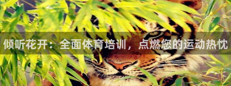 焦点娱乐陈江河：倾听花开：全面体育培训，点燃您的运动