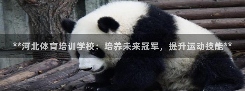 焦点娱乐是拉菲公司的吗知乎：**河北体育培训学校：培