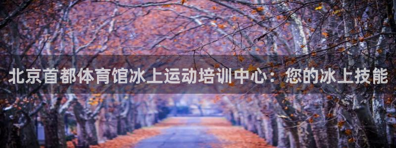 焦点娱乐平台总代理开户怎么样啊：北京首都体育馆冰上运