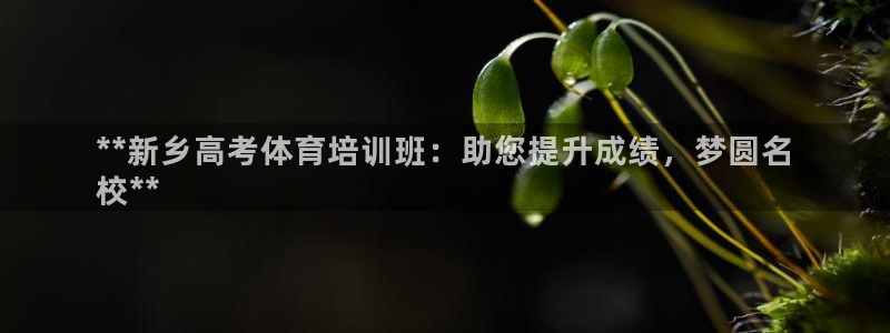 焦点娱乐传媒有限公司官网首页：**新乡高考体育培训班