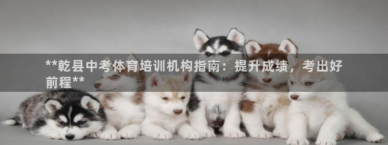焦点娱乐如何注册账号：**乾县中考体育培训机构指南：