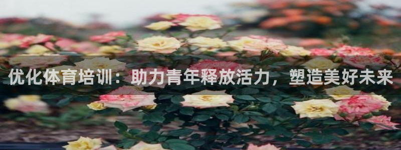 焦点娱乐平台业7O777：优化体育培训：助力青年释放