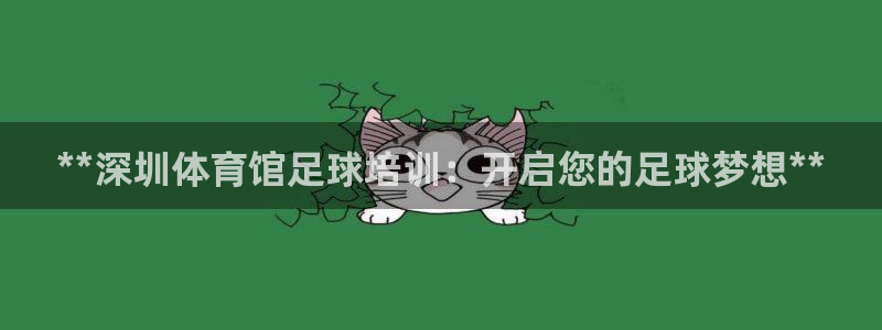 焦点娱乐平台怎么样：**深圳体育馆足球培训：开启您的