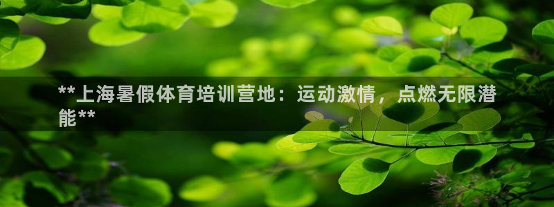 焦点娱乐公司简介怎么写：**上海暑假体育培训营地：运