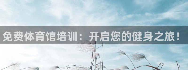 焦点娱乐软件版本下载：免费体育馆培训：开启您的健身之