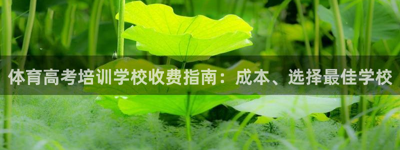 焦点娱乐平台总代理开户：体育高考培训学校收费指南：成