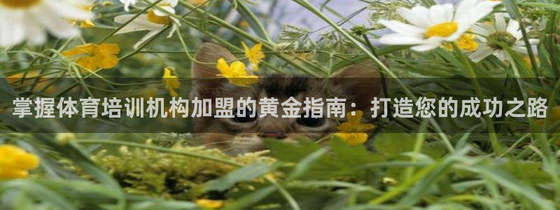 焦点娱乐无法提现怎么回事：掌握体育培训机构加盟的黄金