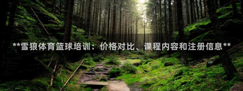 焦点娱乐官方网站首页入口在线观看：**雪狼体育篮球培