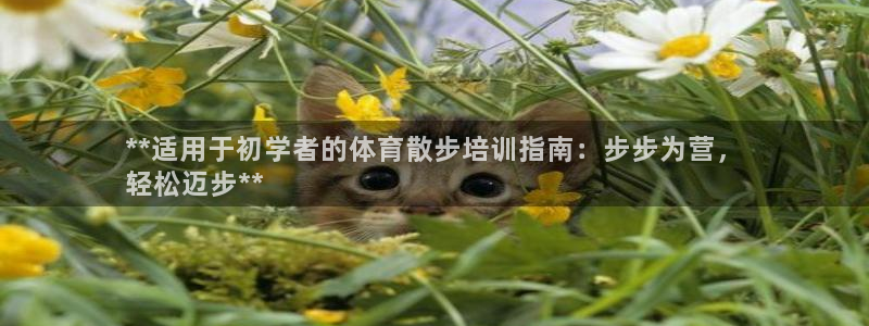 焦点娱乐跨服2013：**适用于初学者的体育散步培训