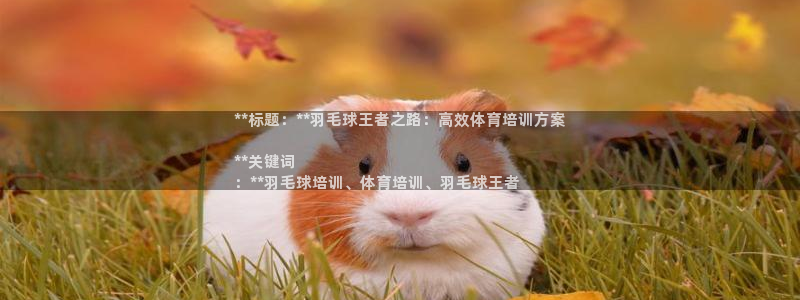 焦点娱乐如何注册账号和密码登录：**标题：**羽毛球