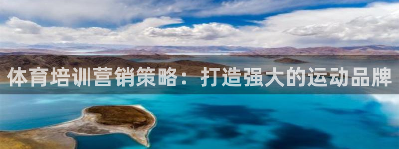 焦点娱乐加速器下载安卓：体育培训营销策略：打造强大的运动品牌
