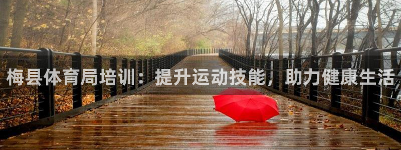 焦点娱乐app下载官网最新版本