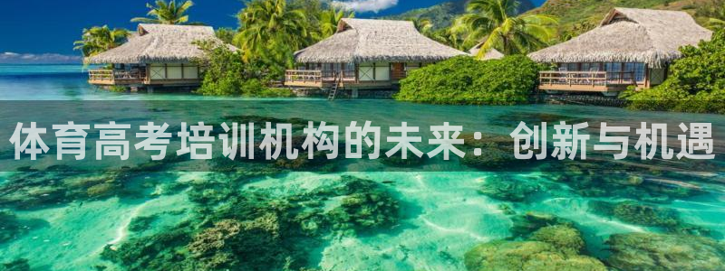 焦点娱乐门徒娱乐骗局：体育高考培训机构的未来：创新与