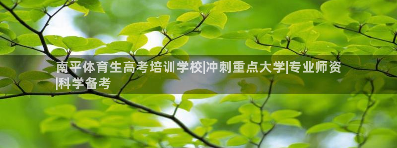 焦点娱乐负责人