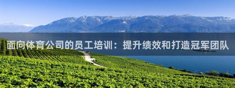 焦点娱乐游戏攻略：面向体育公司的员工培训：提升绩效和