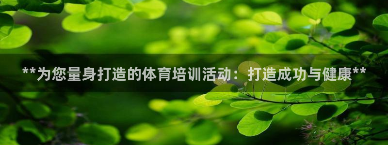 焦点娱乐开发商是谁：**为您量身打造的体育培训活动：
