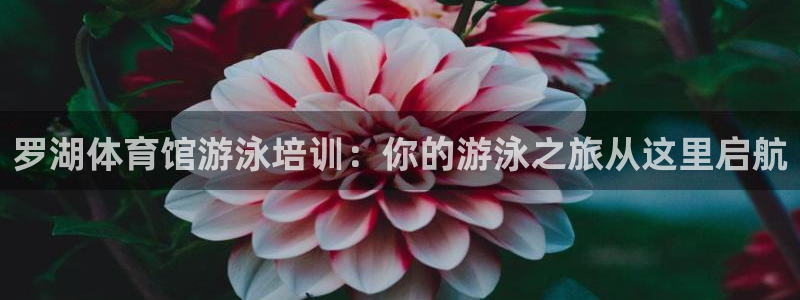 焦点娱乐议 411o31 娱乐：罗湖体育馆游泳培训：