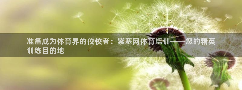 焦点娱乐平台客服电话号码：准备成为体育界的佼佼者：紫