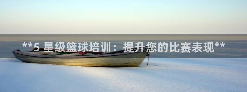 焦点娱乐有限公司：**5 星级篮球培训：提升您的比赛
