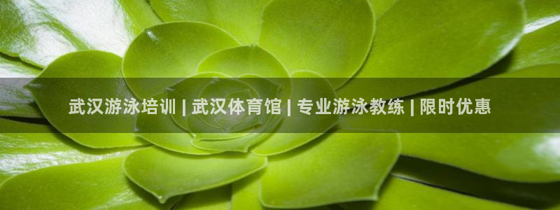 焦点娱乐财神：武汉游泳培训 | 武汉体育馆 | 专业