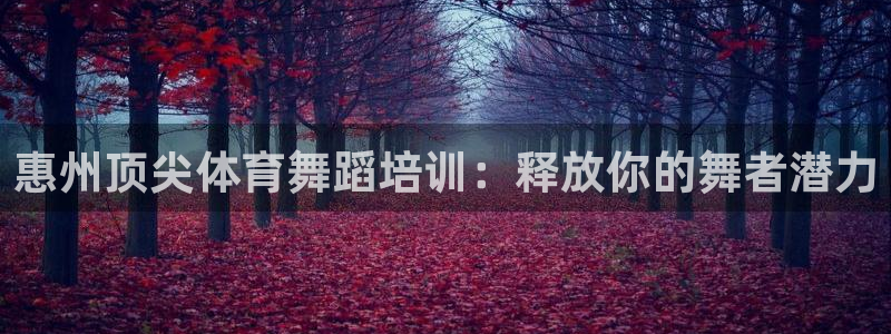 焦点娱乐公司是干嘛的：惠州顶尖体育舞蹈培训：释放你的