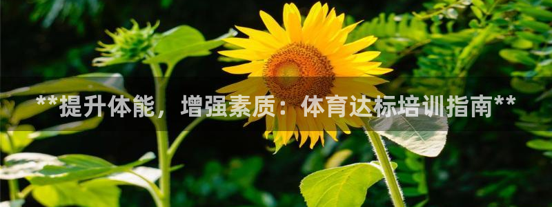 焦点娱乐门徒娱乐骗局揭秘：**提升体能，增强素质：体