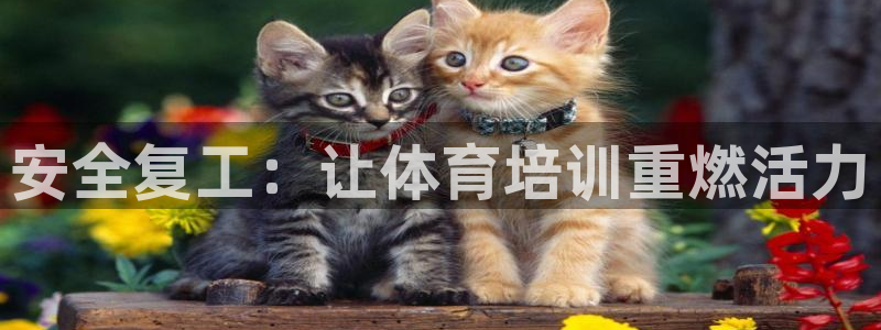 焦点娱乐平台登录不了怎么回事：安全复工：让体育培训重