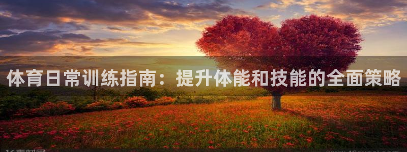焦点娱乐平台怎么样可靠吗：体育日常训练指南：提升体能