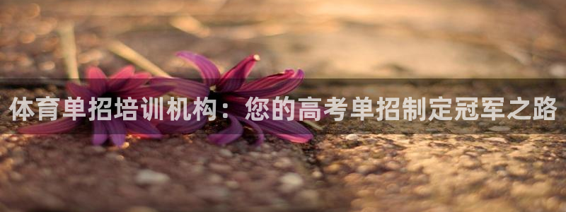 焦点娱乐股东：体育单招培训机构：您的高考单招制定冠军