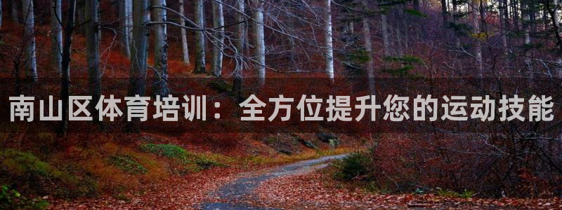 焦点娱乐官网下载安装手机版最新：南山区体育培训：全方