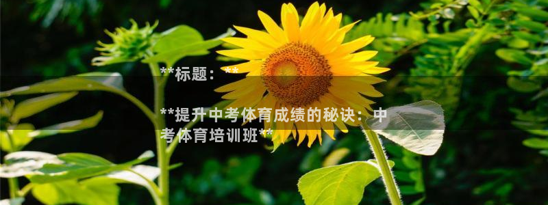 焦点娱乐app下载安装方式是什么