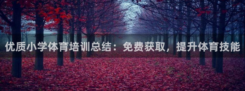 焦点娱乐下载手机版最新版：优质小学体育培训总结：免费获取，提