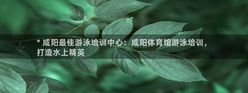 焦点娱乐黑平台
