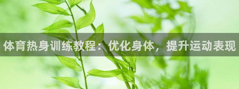 焦点娱乐平台客服电话号码查询：体育热身训练教程：优化身体，提
