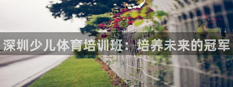 焦点娱乐无法提现到微信：深圳少儿体育培训班：培养未来
