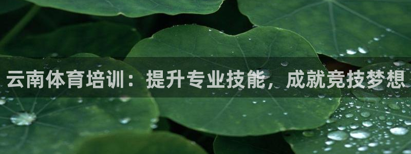 焦点娱乐议 411o31 娱乐：云南体育培训：提升专业技能，