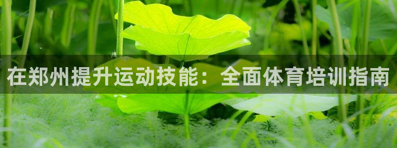 焦点娱乐官方网站入口下载