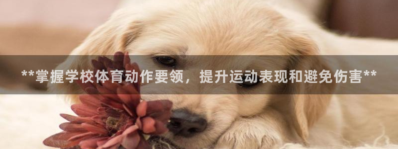 焦点娱乐游戏怎么玩教程：**掌握学校体育动作要领，提