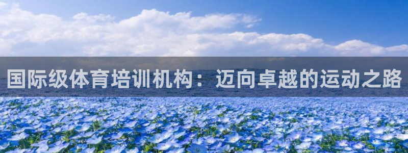 焦点娱乐公司的发展历程简介：国际级体育培训机构：迈向